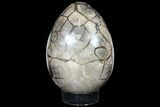 Giant, Polished Septarian Puzzle Geode ( lbs) - Black Crystals #127154-3